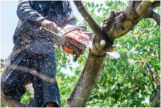 tree services McNair